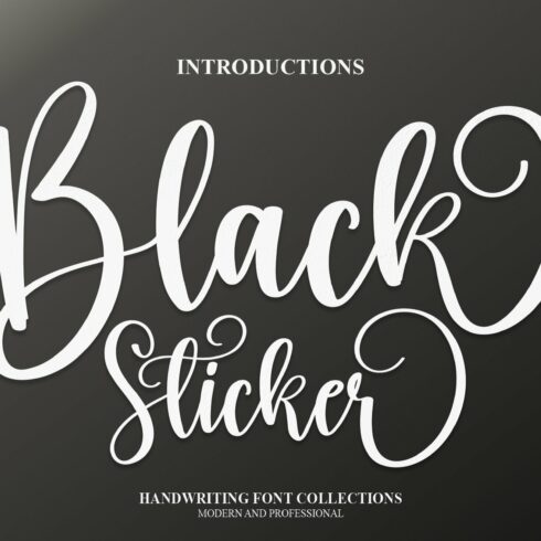 Black Sticker | Script Font cover image.