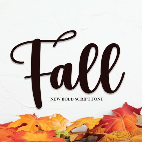 Fall | Script Font cover image.