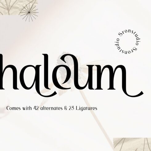 Chaleum Display Font cover image.