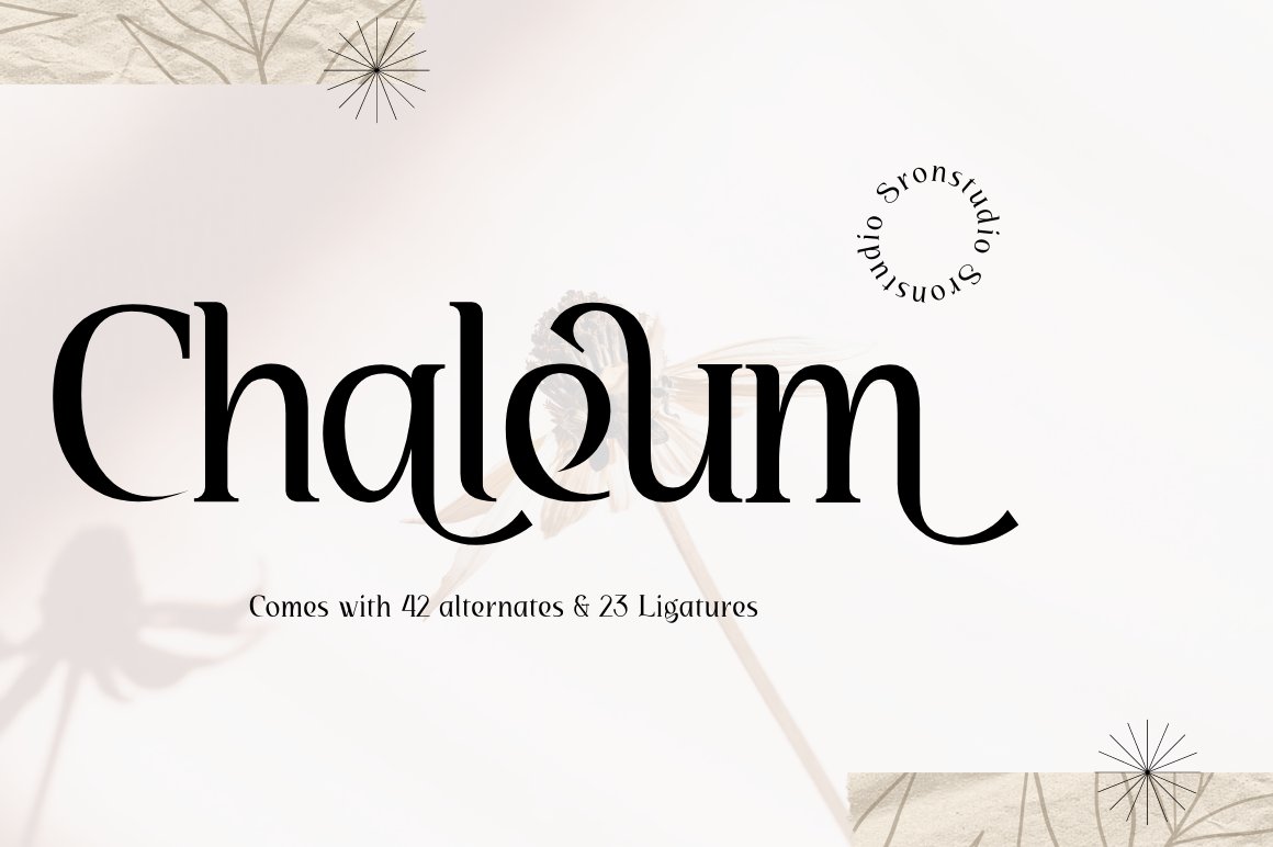 Chaleum Display Font cover image.