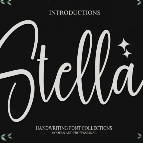 Stella | Script Font cover image.