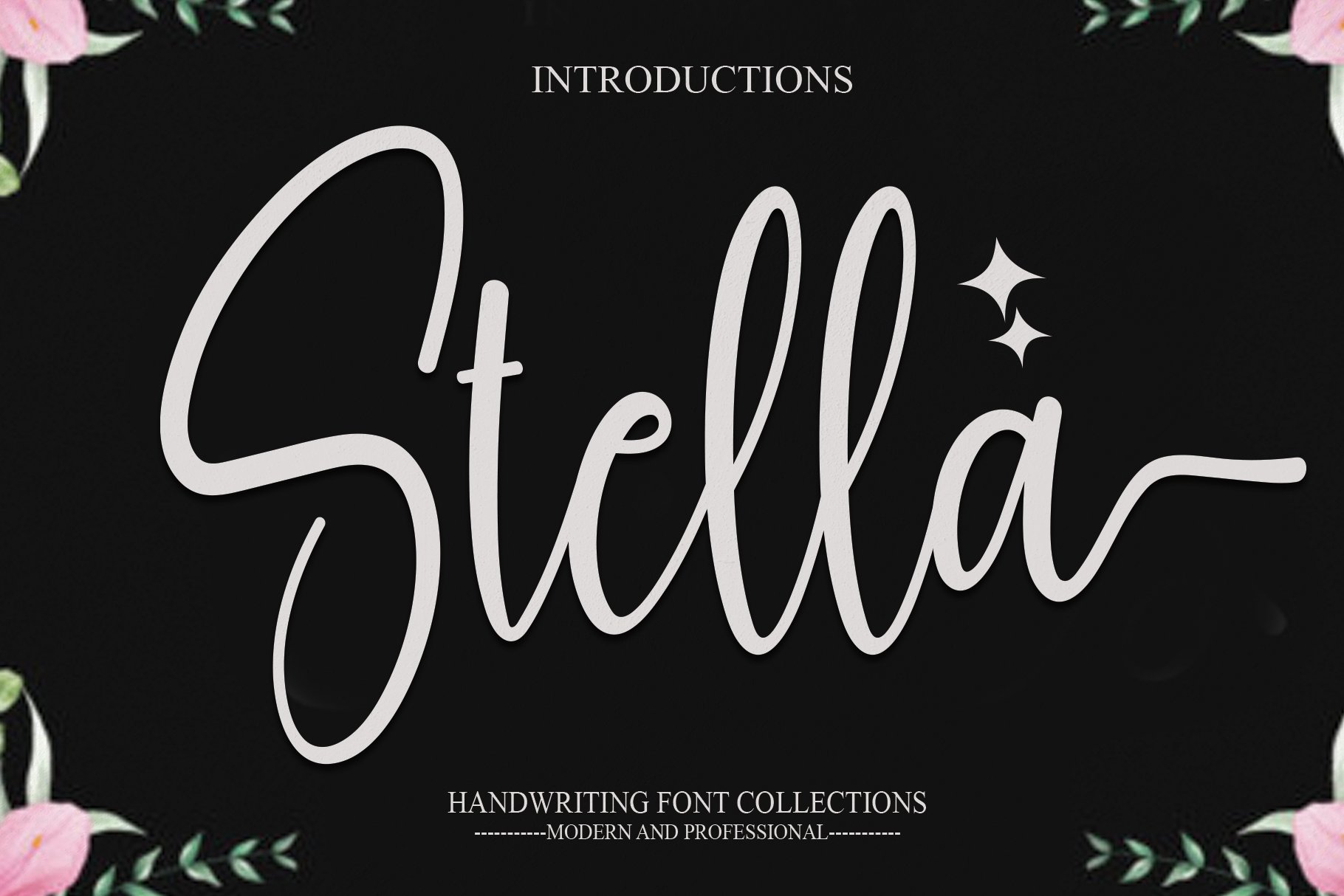 Stella | Script Font cover image.