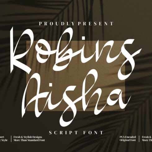 Robins Aisha - Script style font cover image.