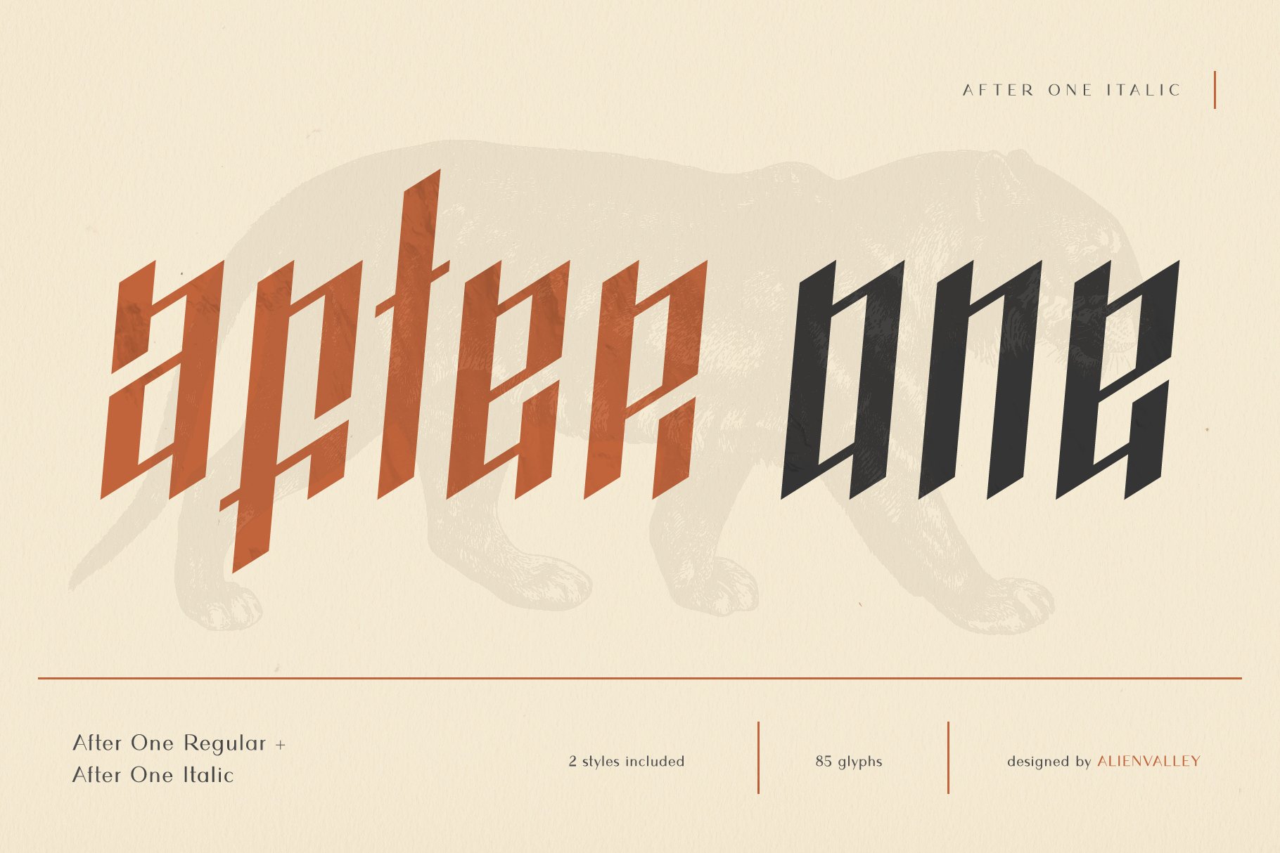 AfterOne - Blackletter Inspired Font preview image.