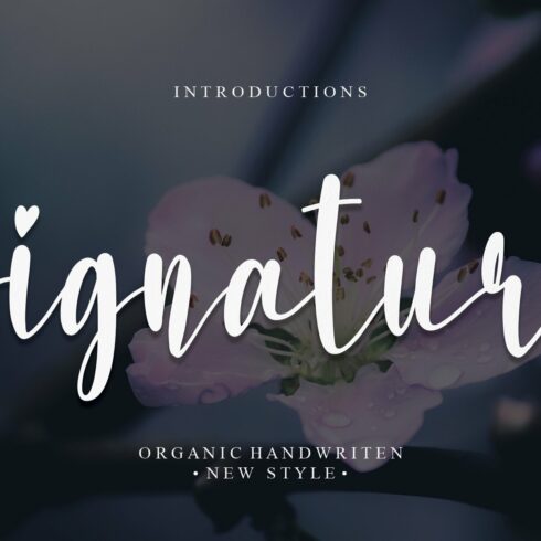 Signature | Script font cover image.