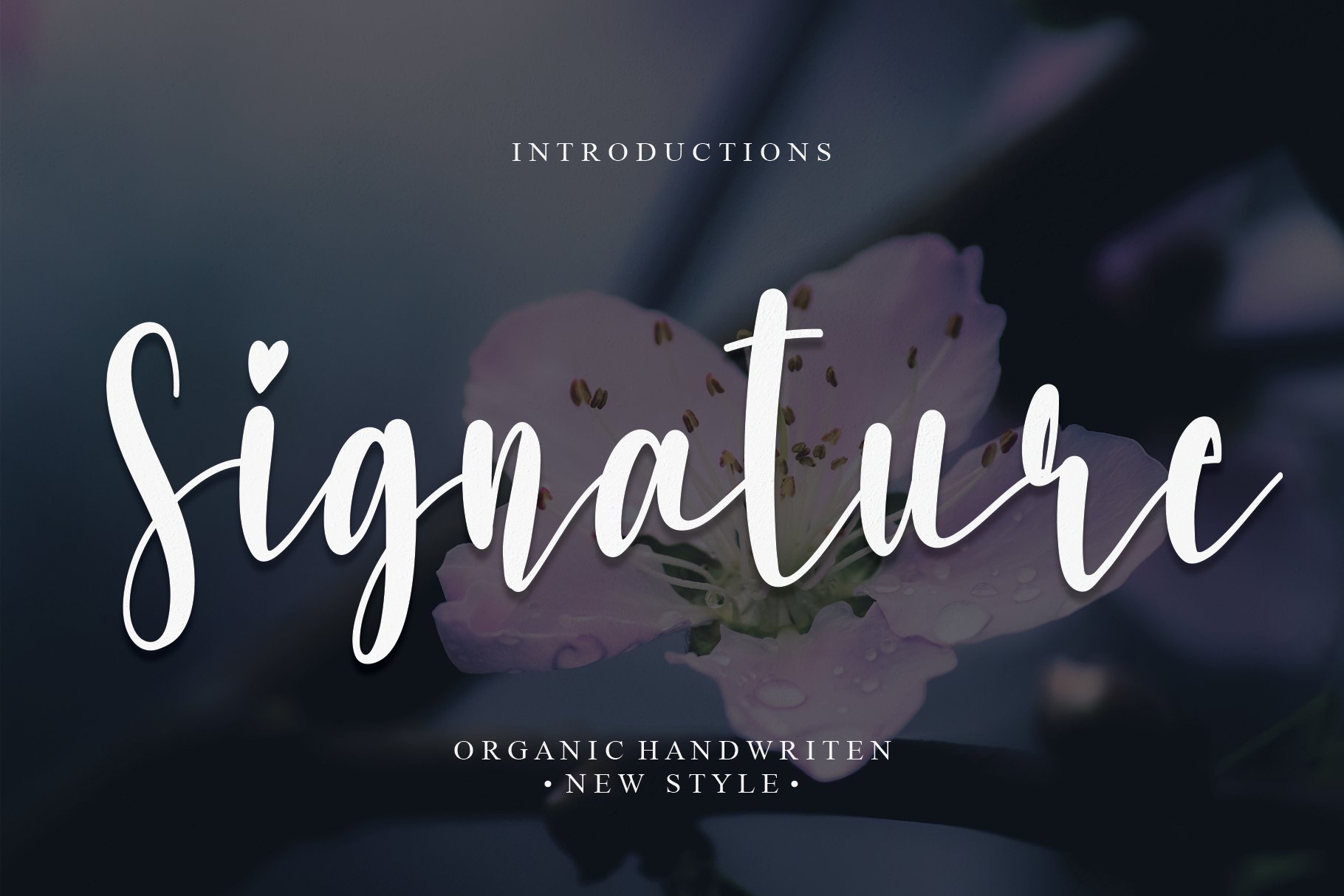 Signature | Script font cover image.