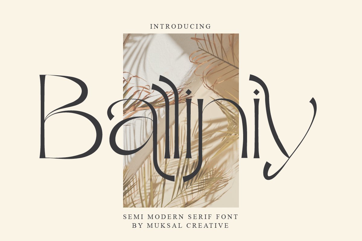 The Modern Elegant Font Bundle preview image.