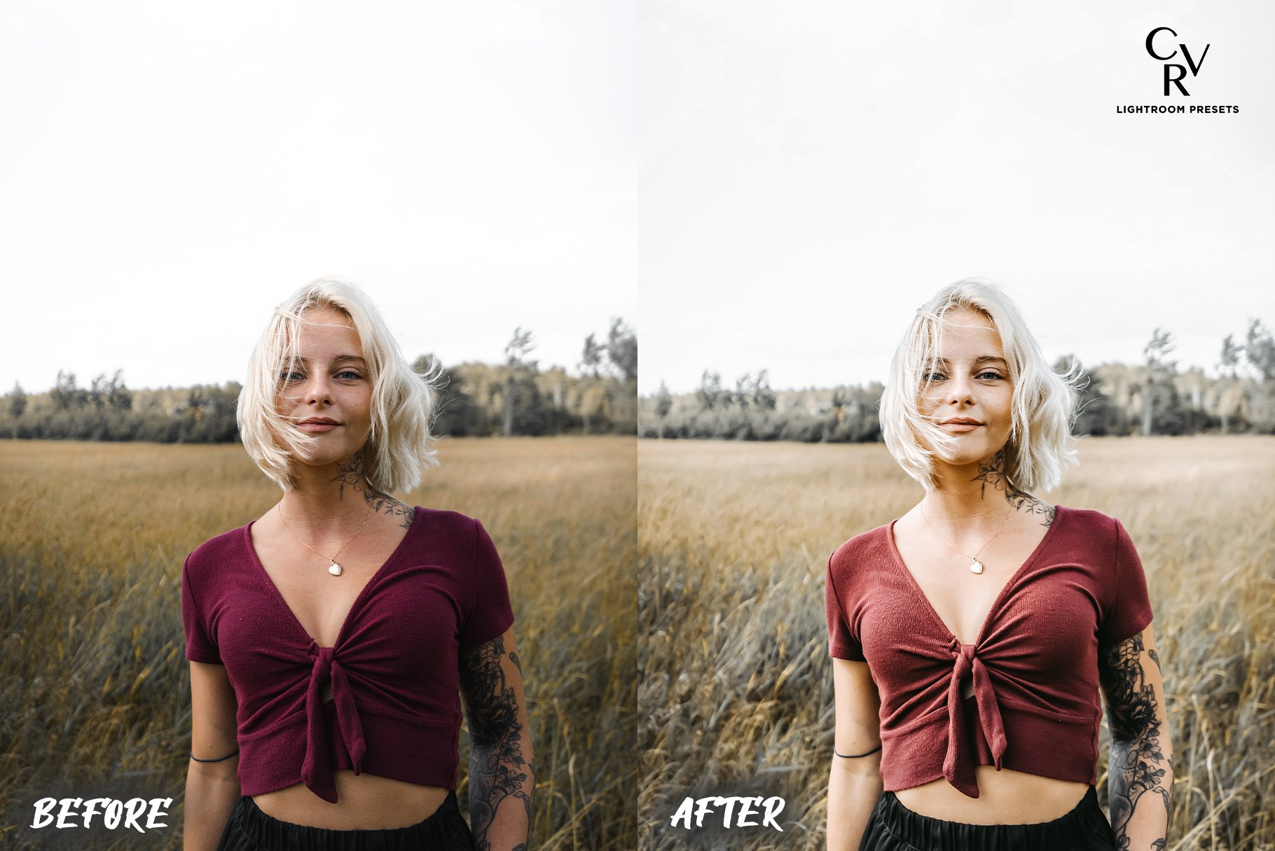 6 Pure Lightroom Presetspreview image.