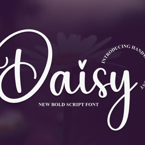 Daisy | Script Font cover image.