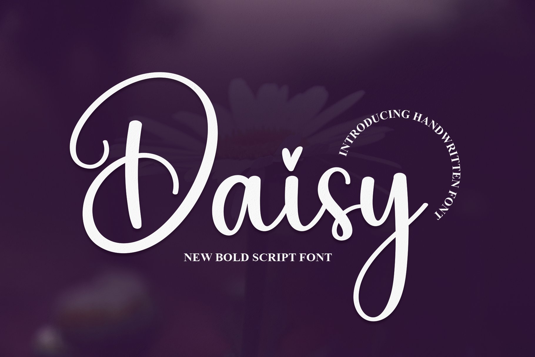 Daisy | Script Font cover image.