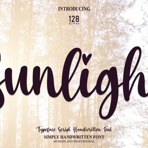 Sunlight | Script Font cover image.