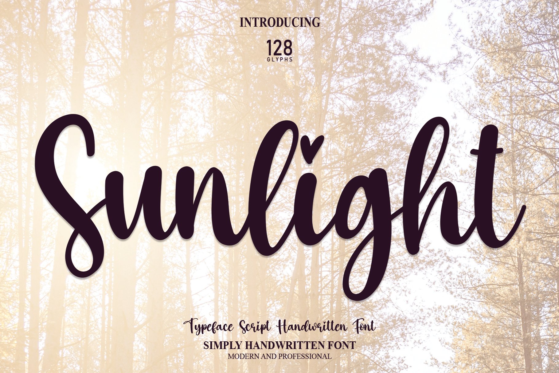 Sunlight | Script Font cover image.