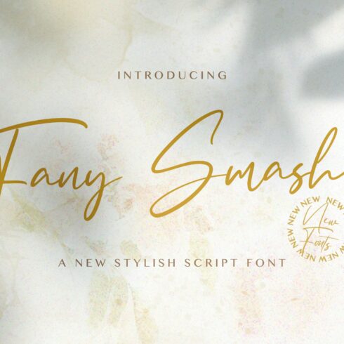 Fany Smash - Handwritten Font cover image.