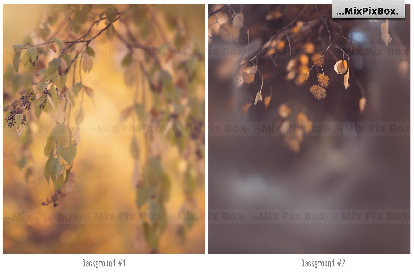 Autumn Portrait Backgroundspreview image.