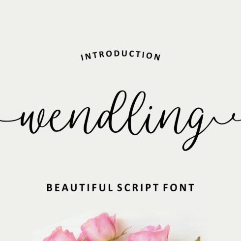 Wendling - Beautiful Script cover image.