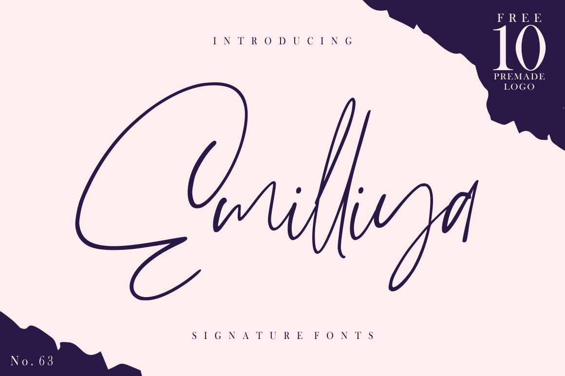 Emilliya // Luxury Signature Font cover image.
