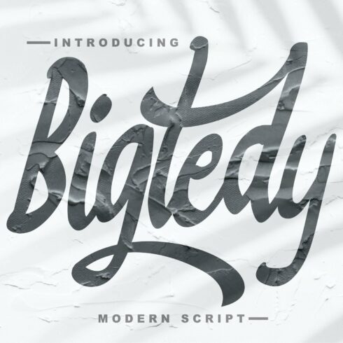 Bigtedy Modern Script cover image.