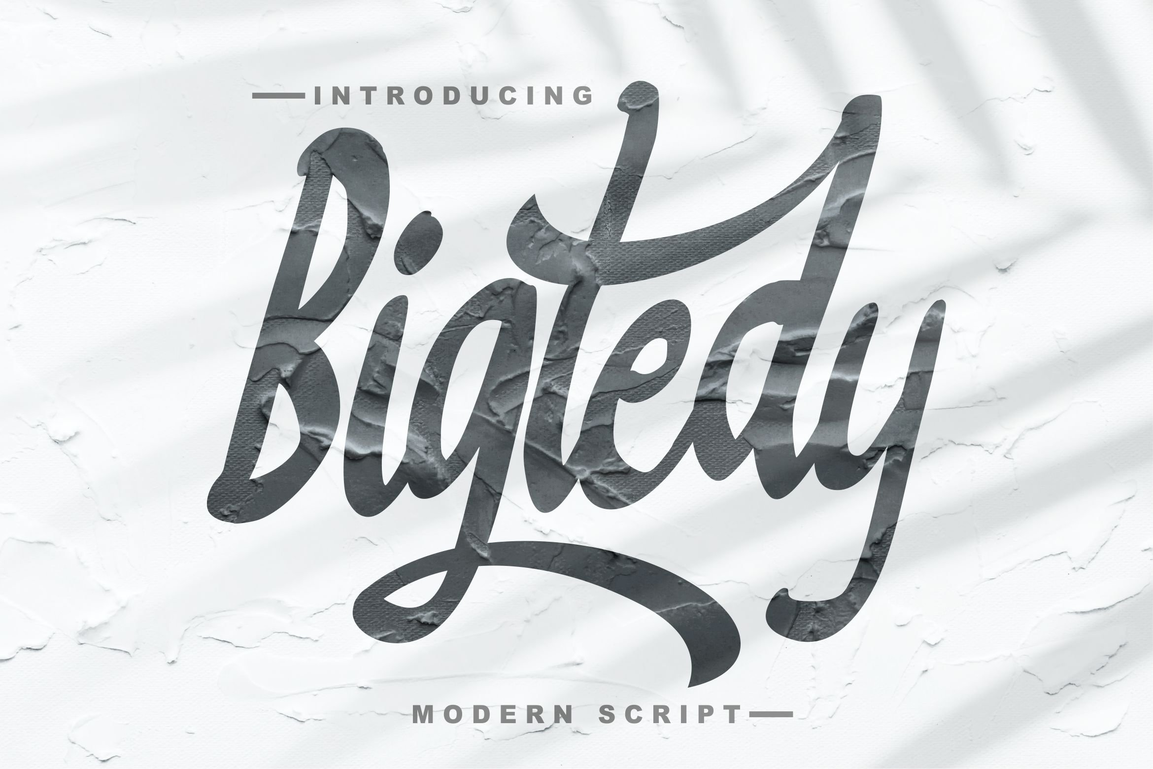 Bigtedy Modern Script cover image.