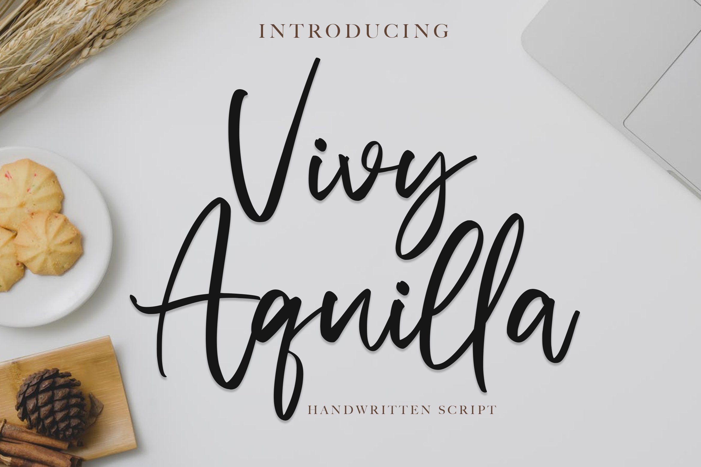 Vivy Aquilla - Handwritten Font cover image.