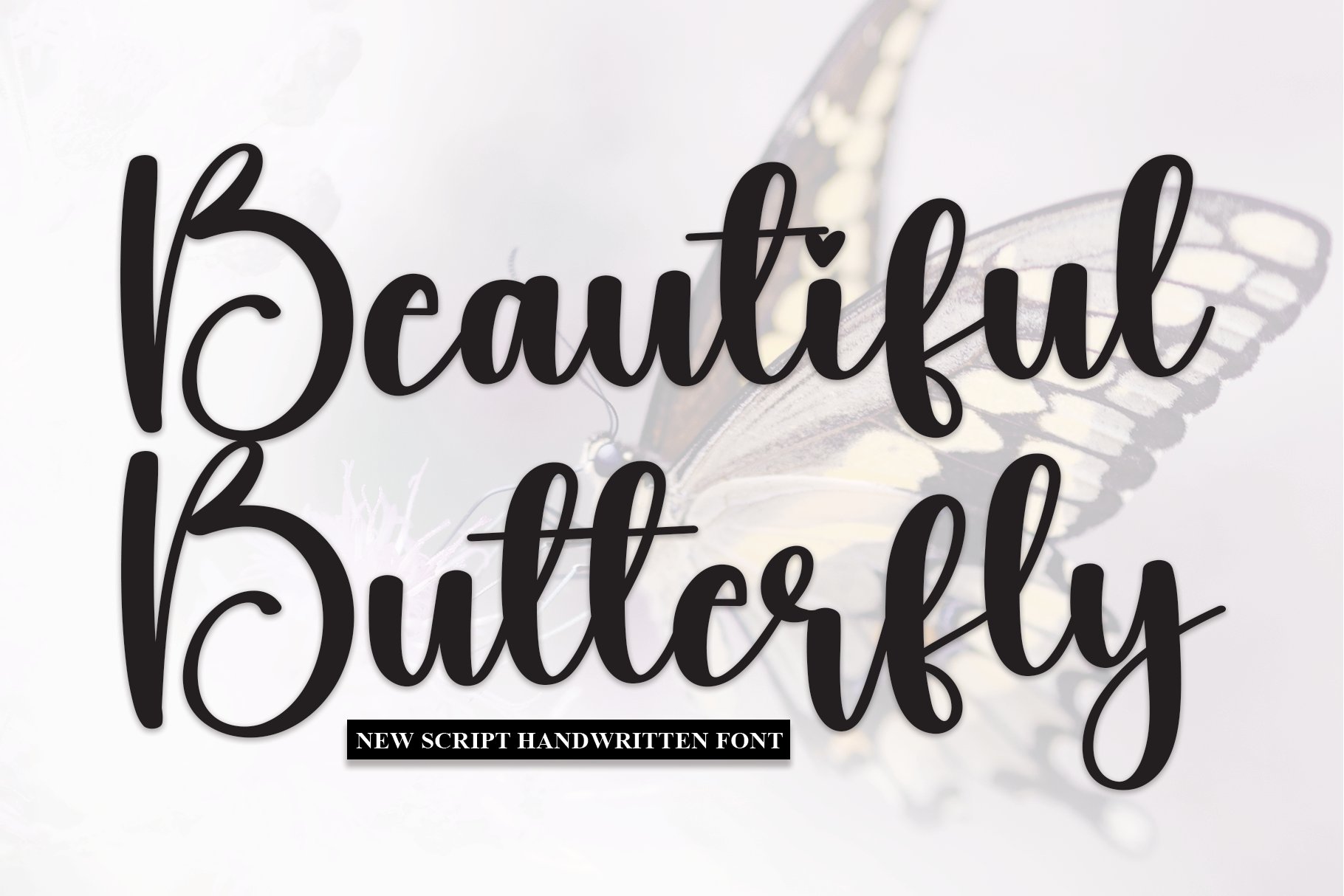 Beautiful Butterfly | Script Font cover image.