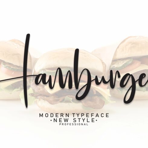 Hamburger | Script Font cover image.