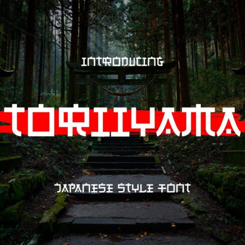 Toriiyama - Japanese Style Font cover image.