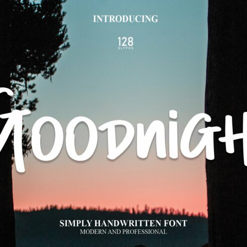 Goodnight | Script Font cover image.