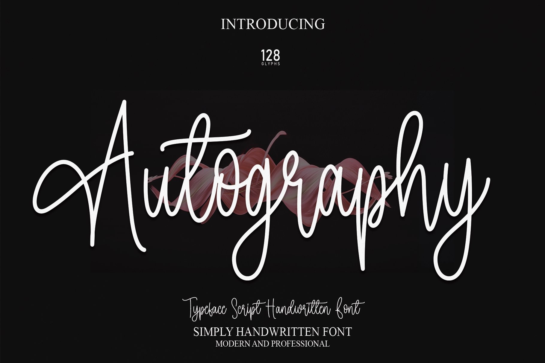 Autography | Script Font cover image.