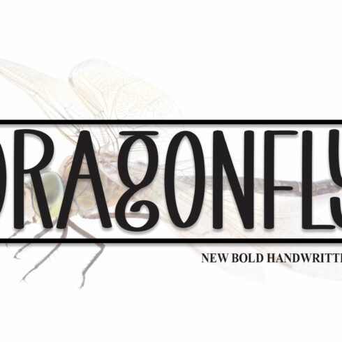 Dragonfly | Script Font cover image.