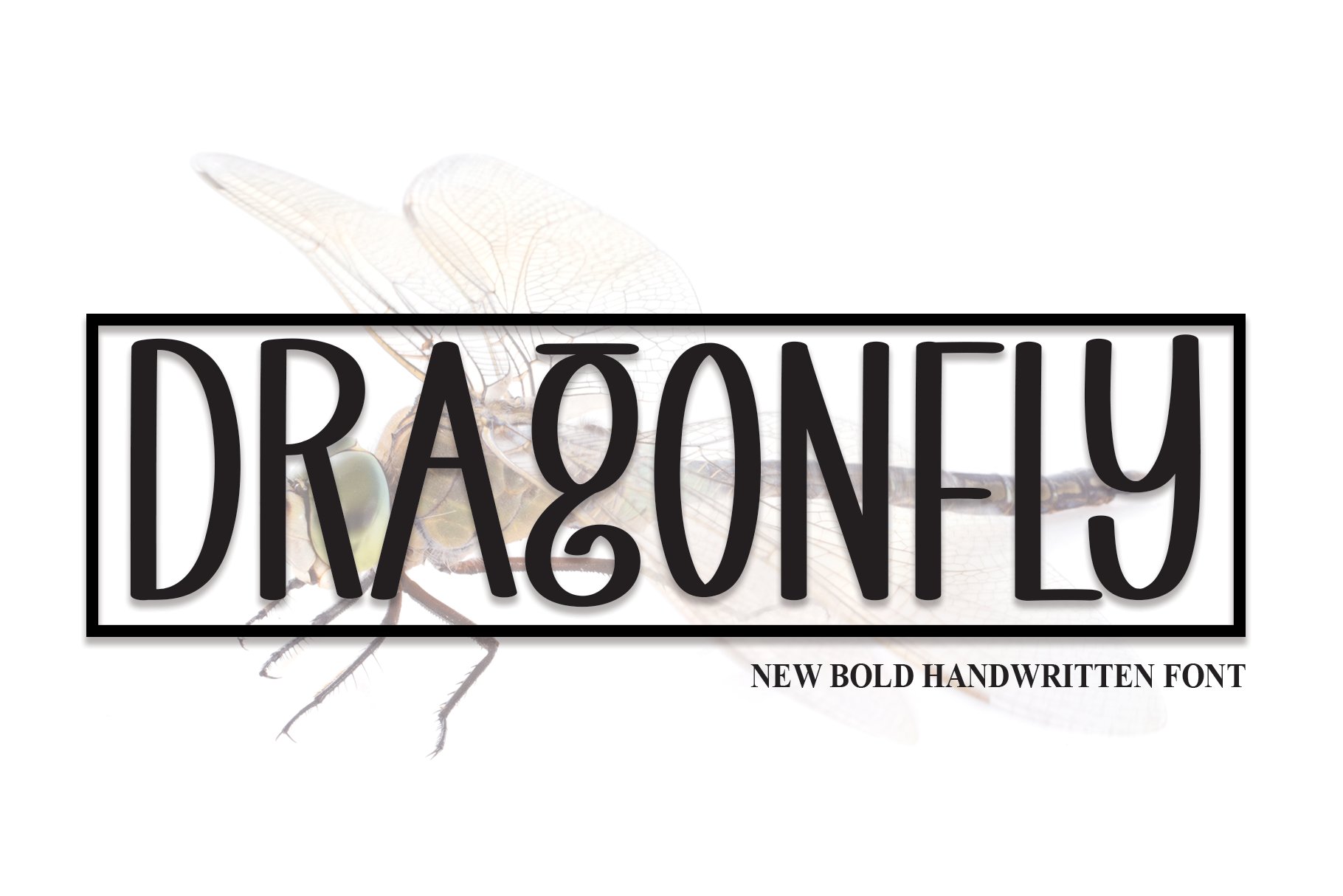 Dragonfly | Script Font cover image.