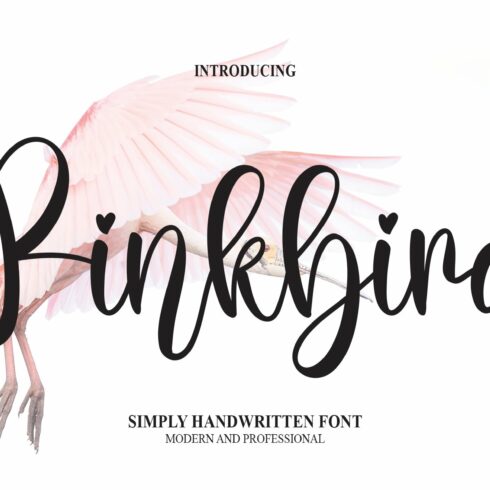 Pinkbird | Script Font cover image.