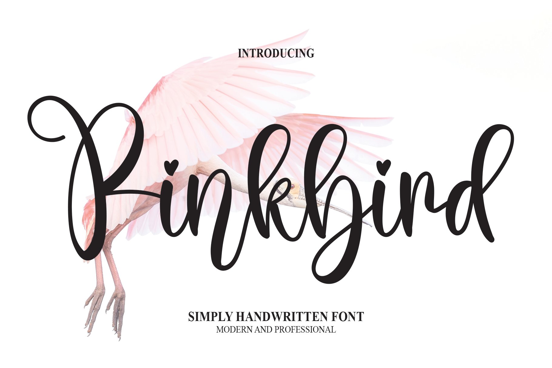 Pinkbird | Script Font cover image.