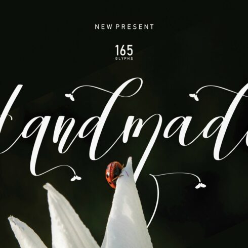 Handmade | Script font cover image.