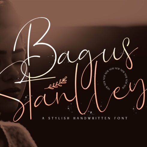 Bagus Stanlley - Stylish Script Font cover image.
