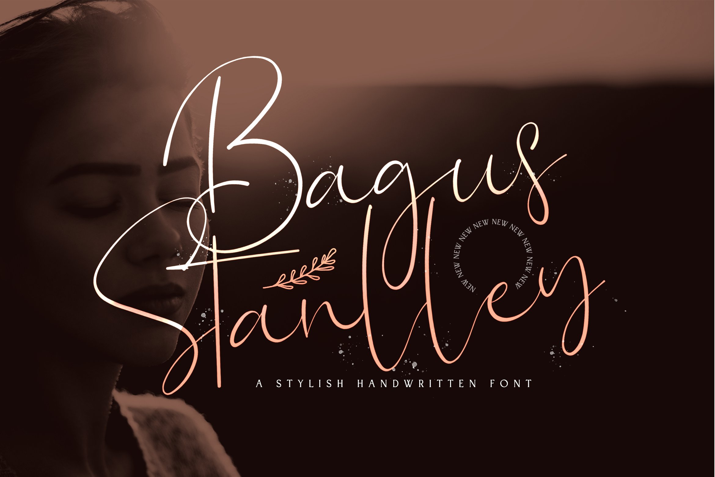 Bagus Stanlley - Stylish Script Font cover image.