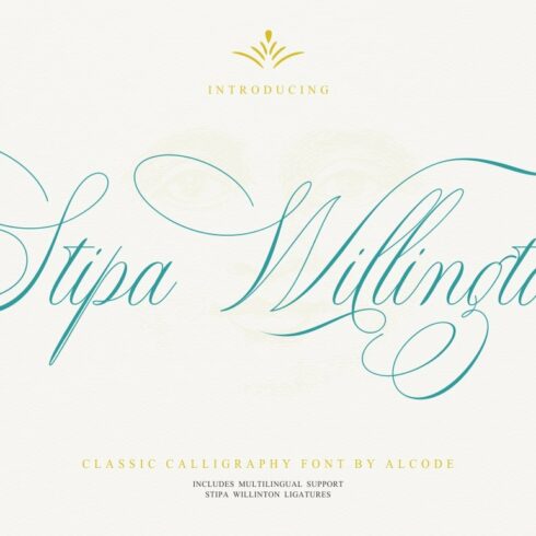 Stipa Willington cover image.