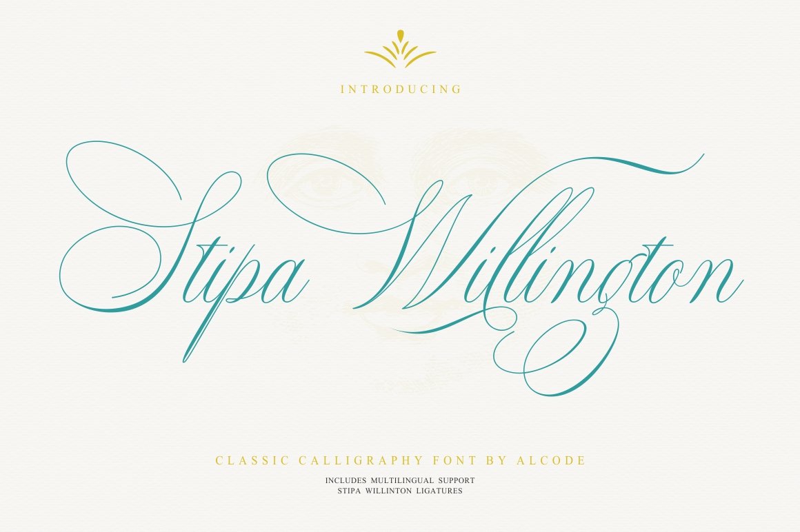 Stipa Willington cover image.