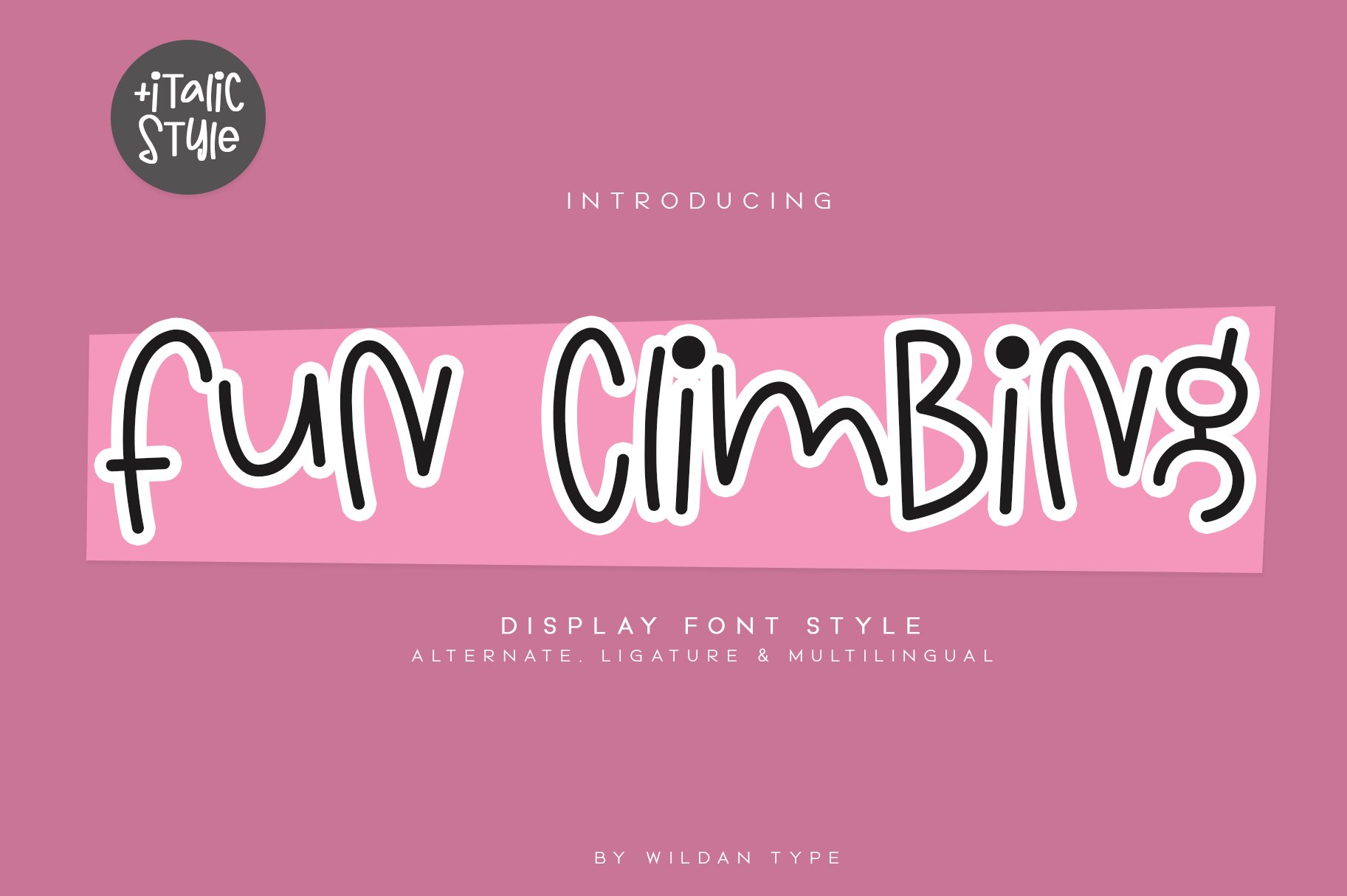 Fun Climbing cover image.