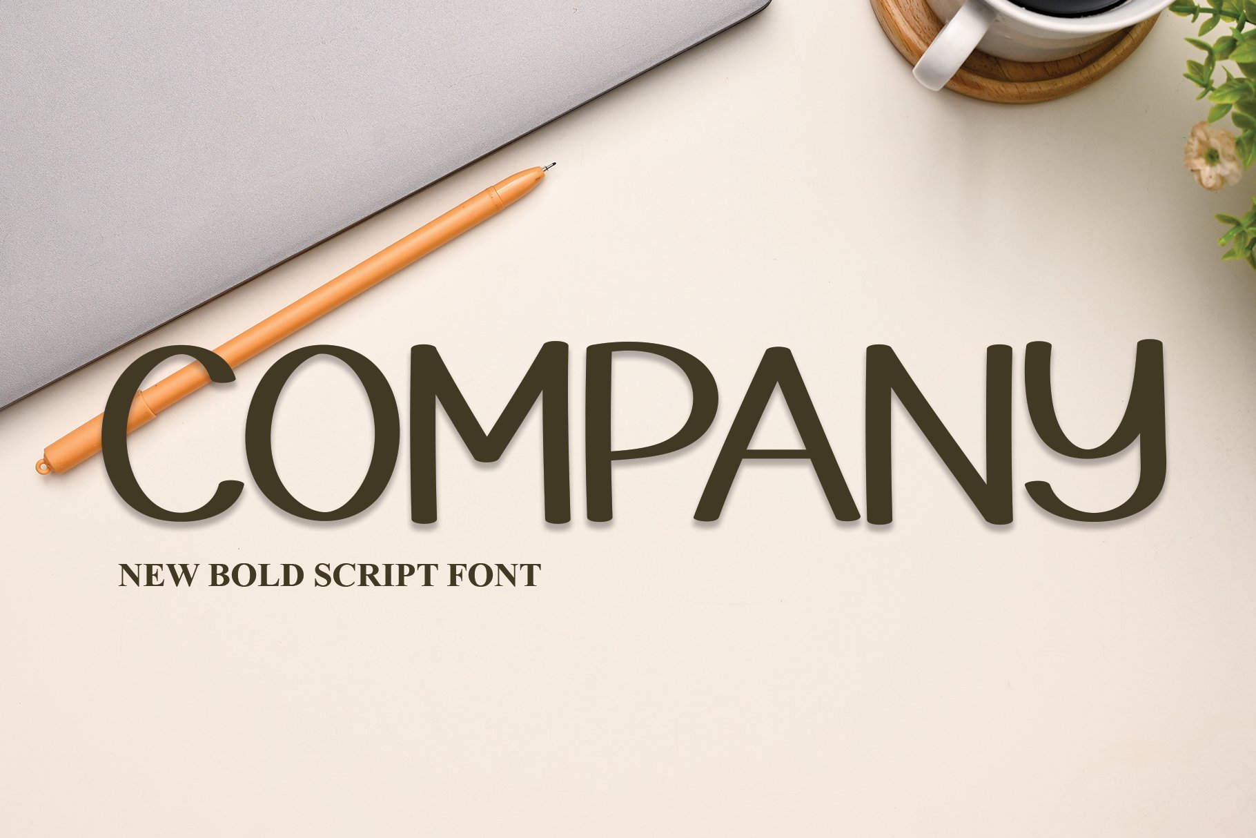 Company | Script Font cover image.