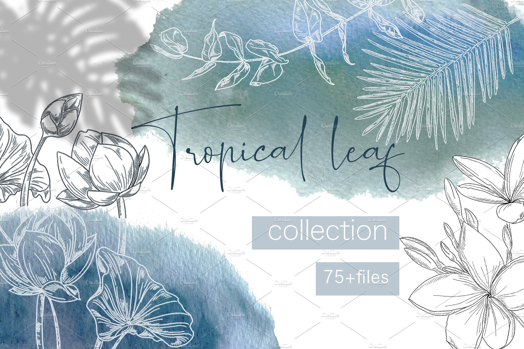 Tropical leaf collection cover image.