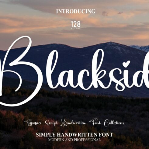 Blackside | Script Font cover image.