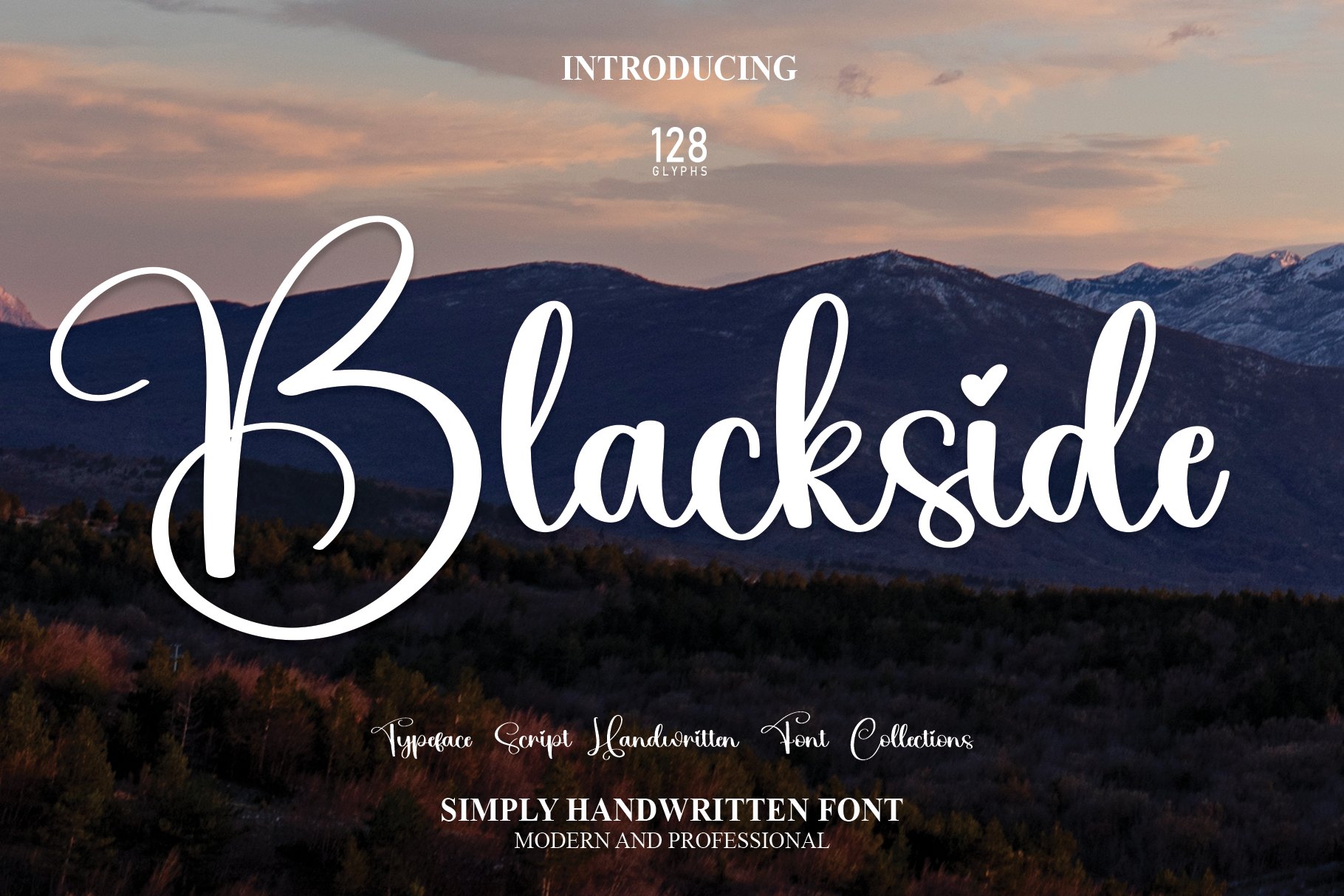 Blackside | Script Font cover image.