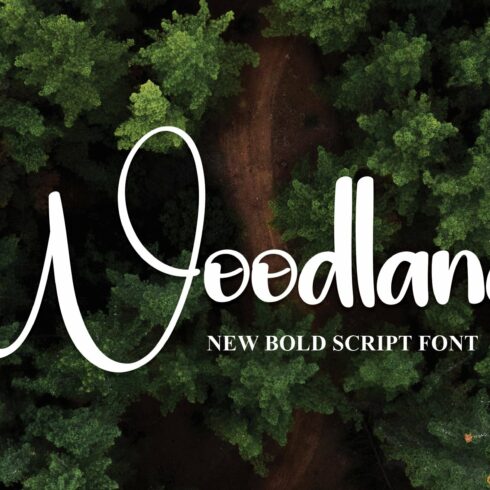 Woodland | Script Font cover image.
