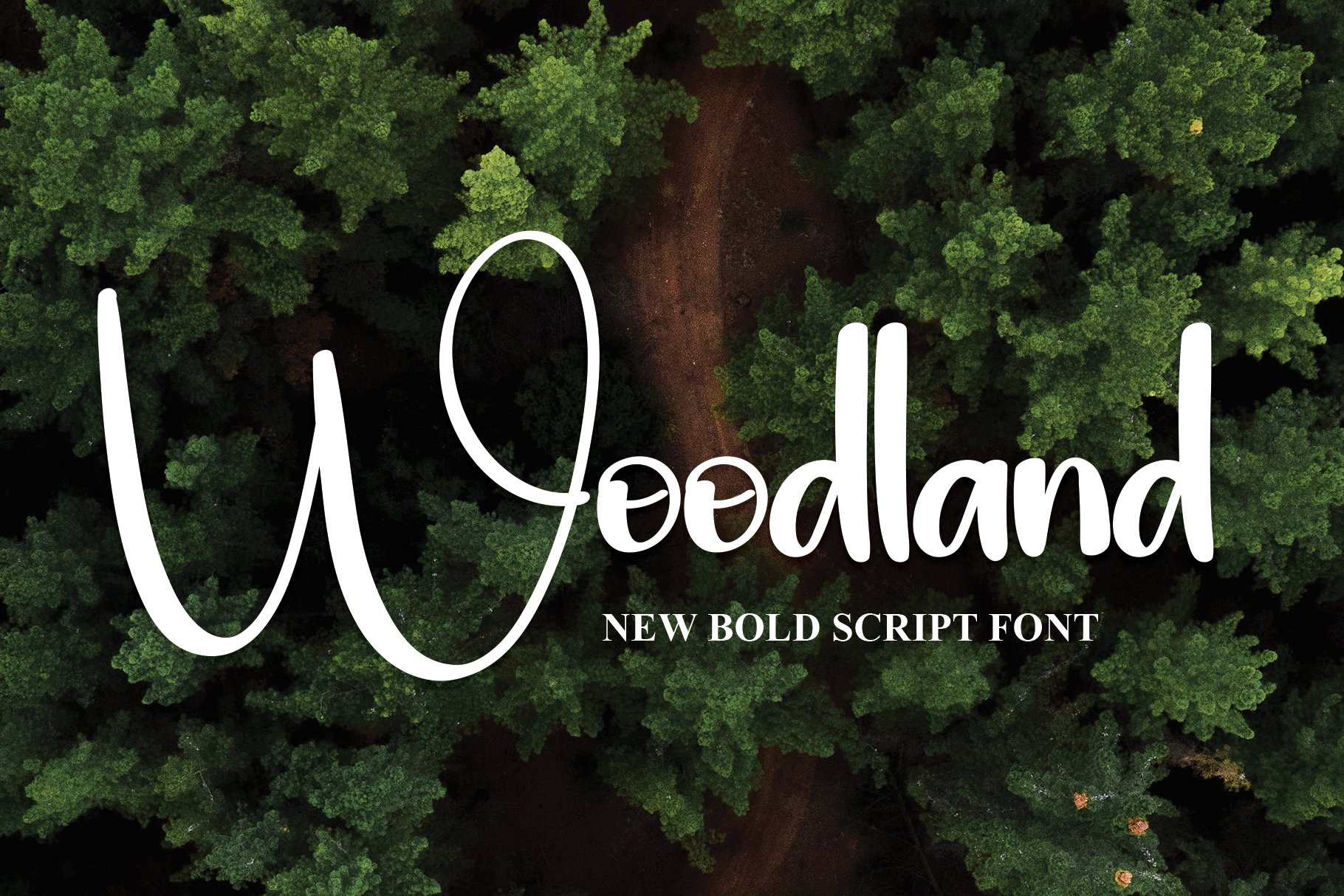Woodland | Script Font cover image.