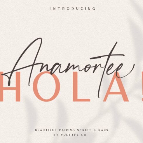 Anamortee // Modern Calligraphy Font cover image.