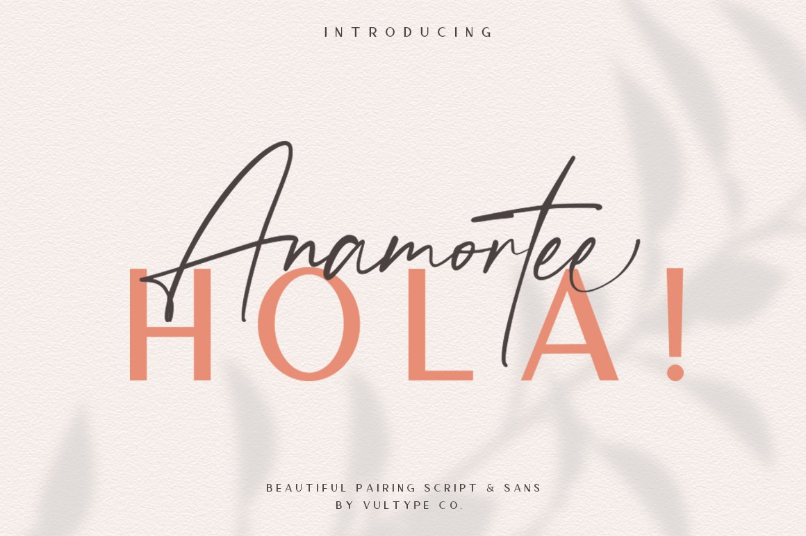 Anamortee // Modern Calligraphy Font cover image.