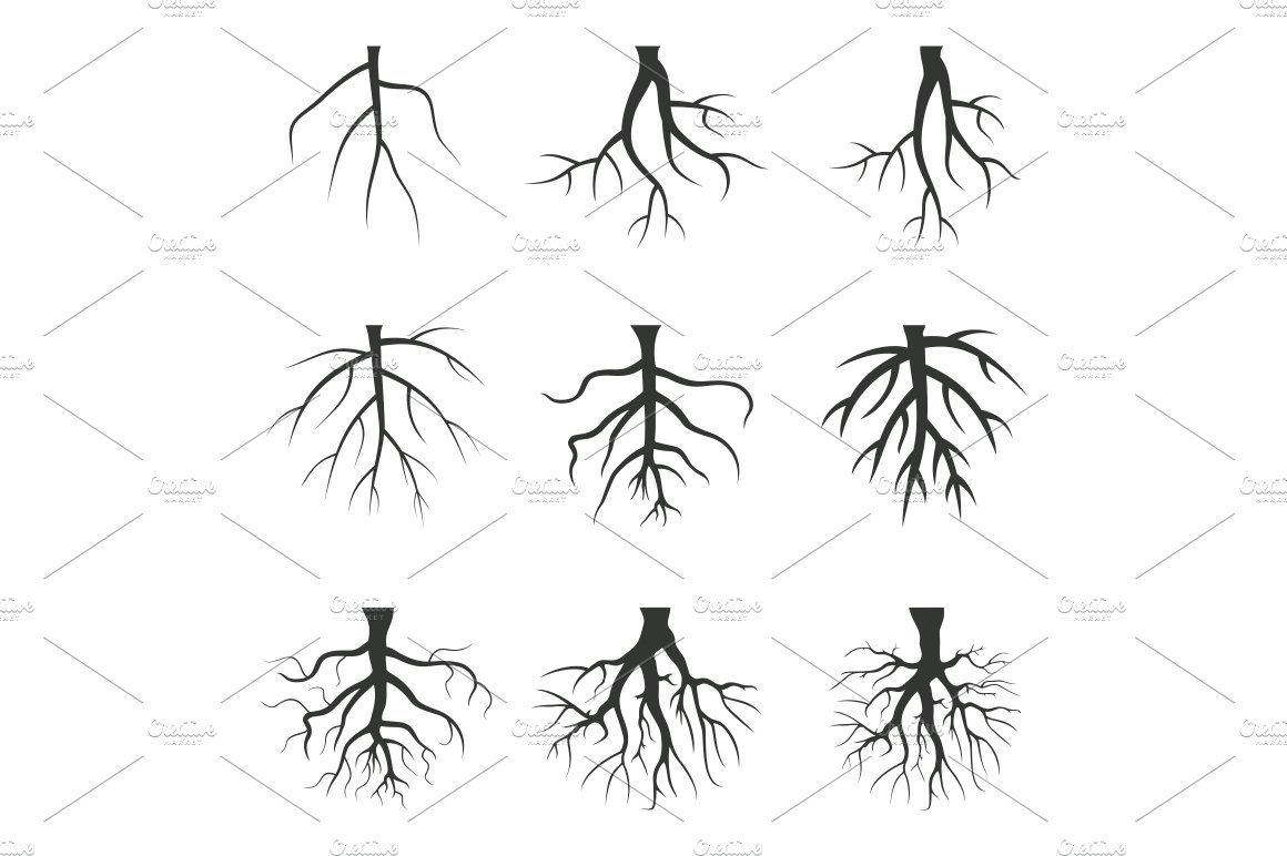Line Drawing Tree Roots Stock Illustrations, Cliparts and Royalty Free Line Drawing  Tree Roots Vectors