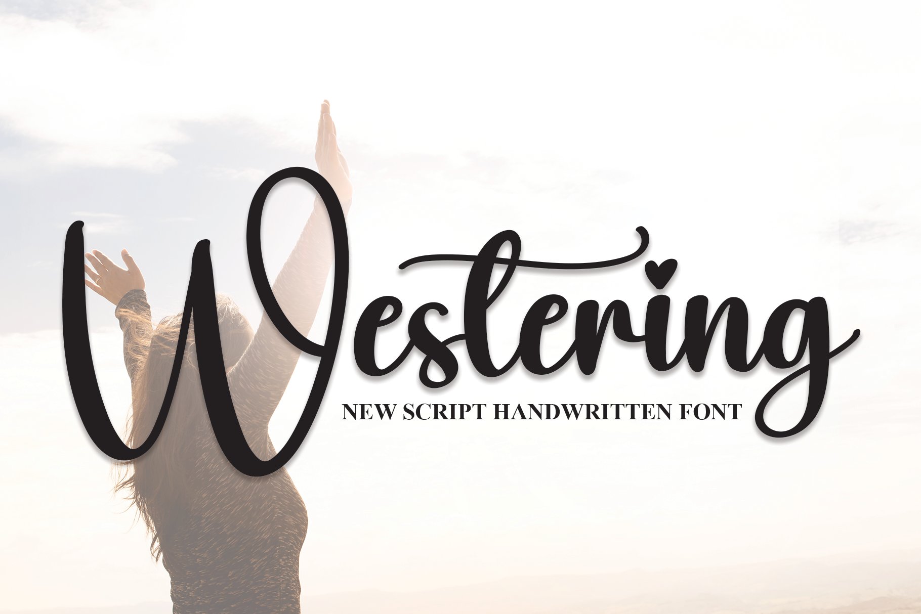 Westering | Script Font cover image.