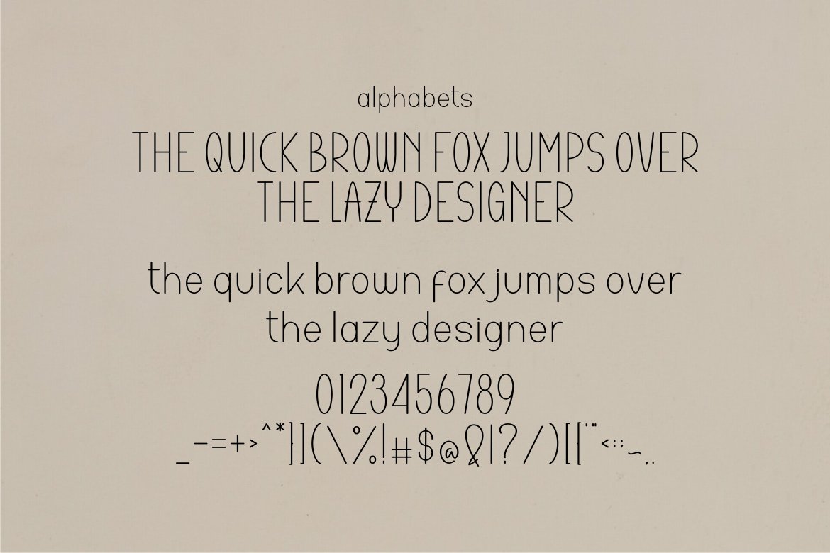 Charlie Swift Font preview image.