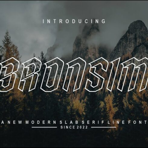 Bronsim cover image.